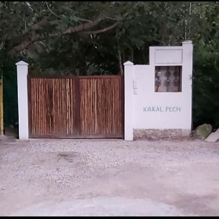 קוזומל New! Casa Xola Cenote And Fauna Loft מראה חיצוני תמונה