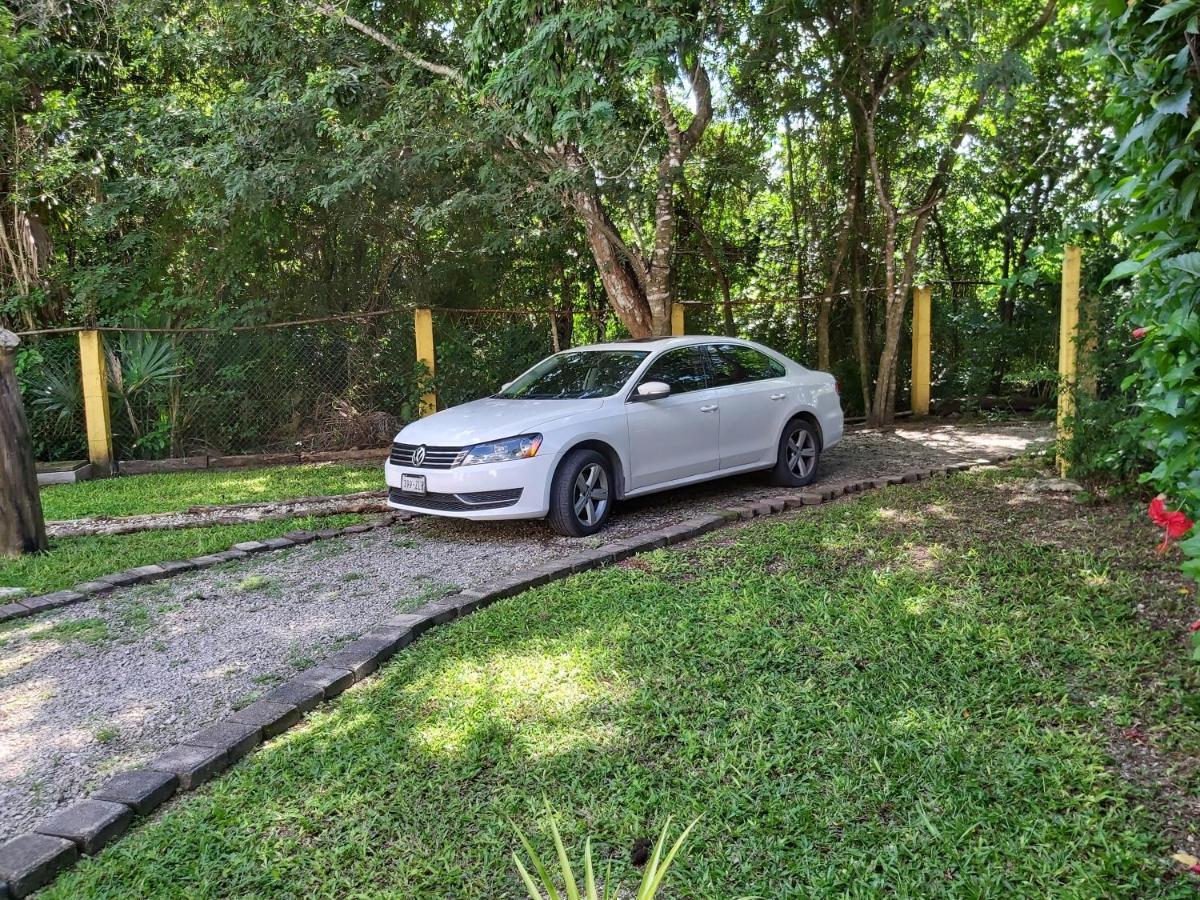 קוזומל New! Casa Xola Cenote And Fauna Loft מראה חיצוני תמונה