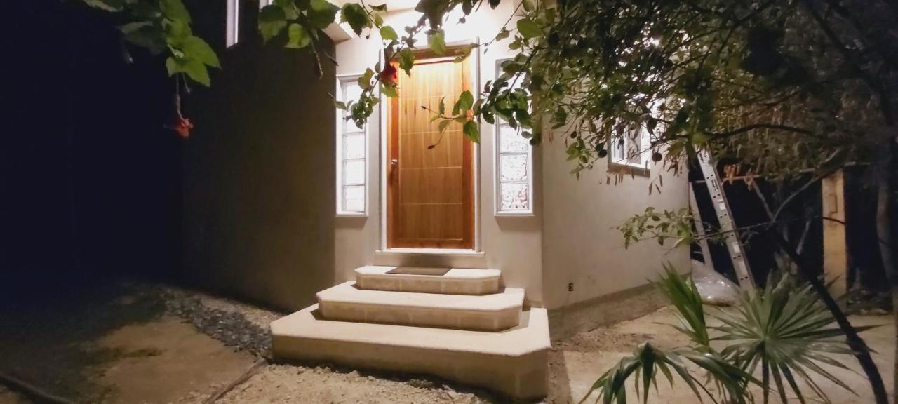 קוזומל New! Casa Xola Cenote And Fauna Loft מראה חיצוני תמונה