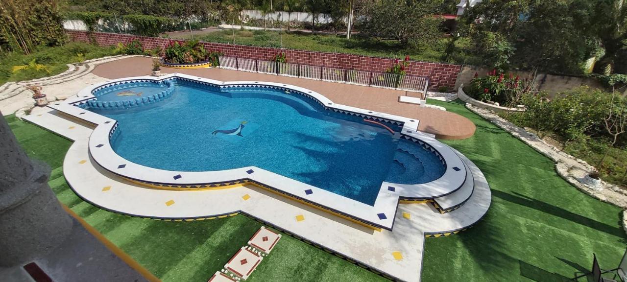 קוזומל New! Casa Xola Cenote And Fauna Loft מראה חיצוני תמונה