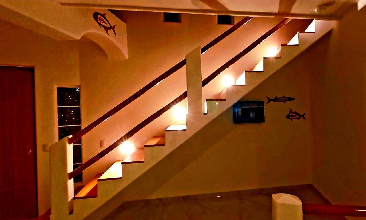 קוזומל New! Casa Xola Cenote And Fauna Loft מראה חיצוני תמונה