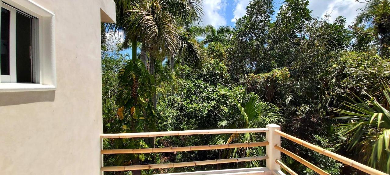 קוזומל New! Casa Xola Cenote And Fauna Loft מראה חיצוני תמונה