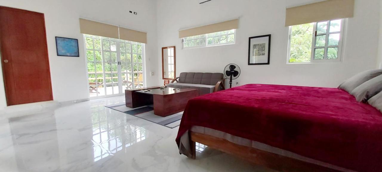 קוזומל New! Casa Xola Cenote And Fauna Loft מראה חיצוני תמונה