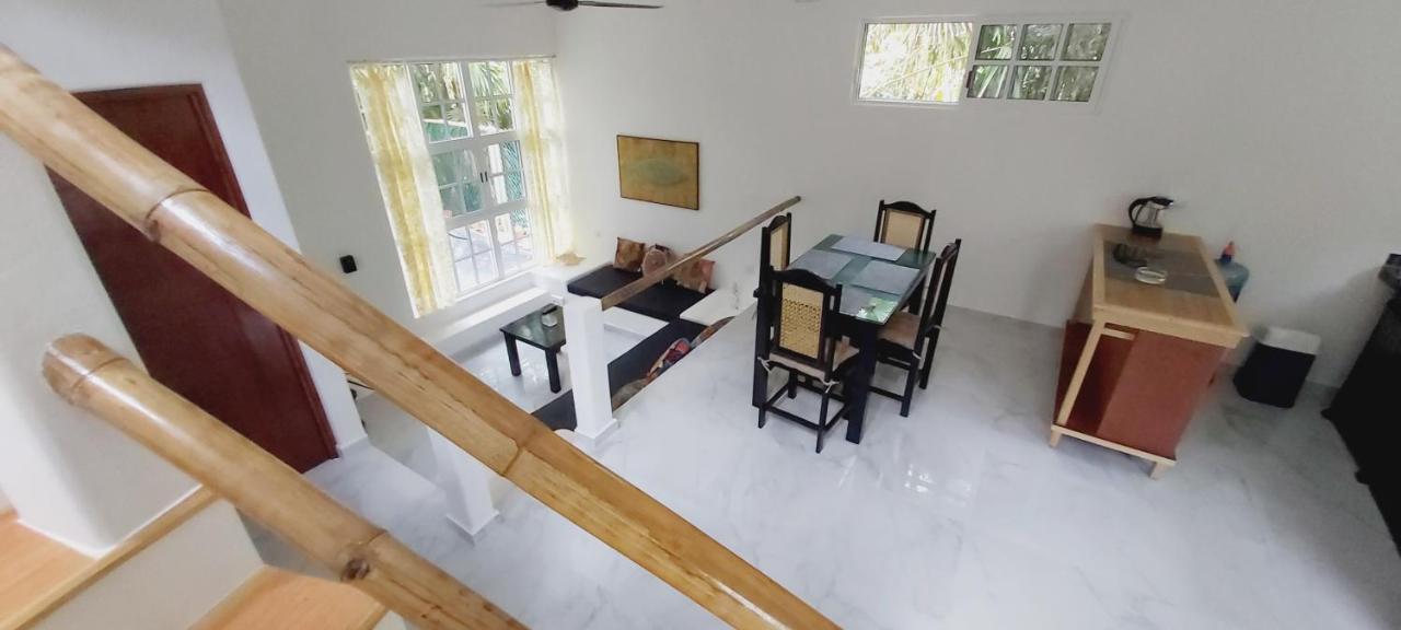 קוזומל New! Casa Xola Cenote And Fauna Loft מראה חיצוני תמונה