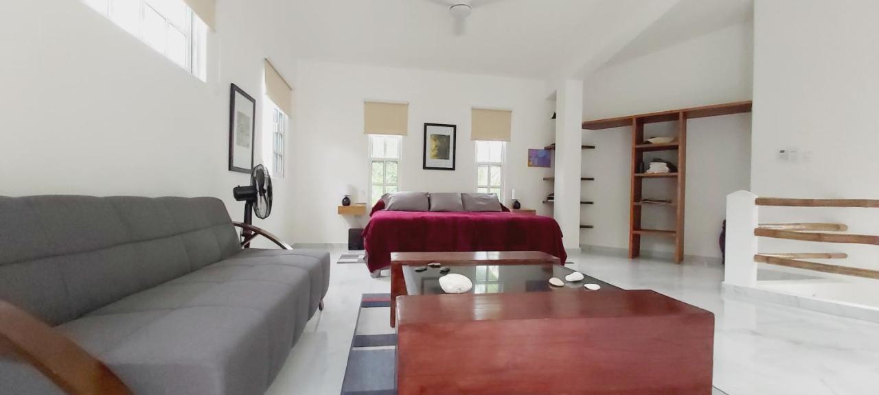 קוזומל New! Casa Xola Cenote And Fauna Loft מראה חיצוני תמונה