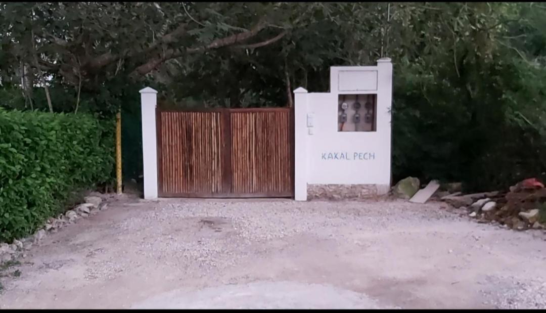 קוזומל New! Casa Xola Cenote And Fauna Loft מראה חיצוני תמונה